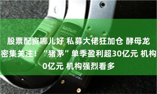 股票配资哪儿好 私募大佬狂加仓 酵母龙头获机构密集关注！“猪茅”单季盈利超30亿元 机构强烈看多