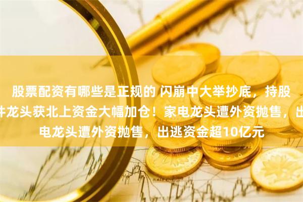 股票配资有哪些是正规的 闪崩中大举抄底，持股暴增67%，元器件龙头获北上资金大幅加仓！家电龙头遭外资抛售，出逃资金超10亿元