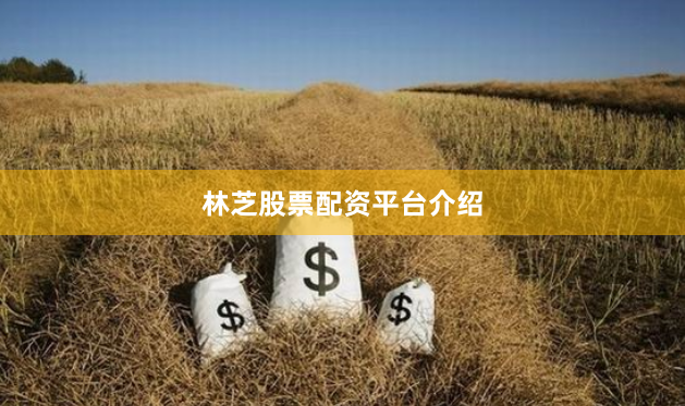 林芝股票配资平台介绍